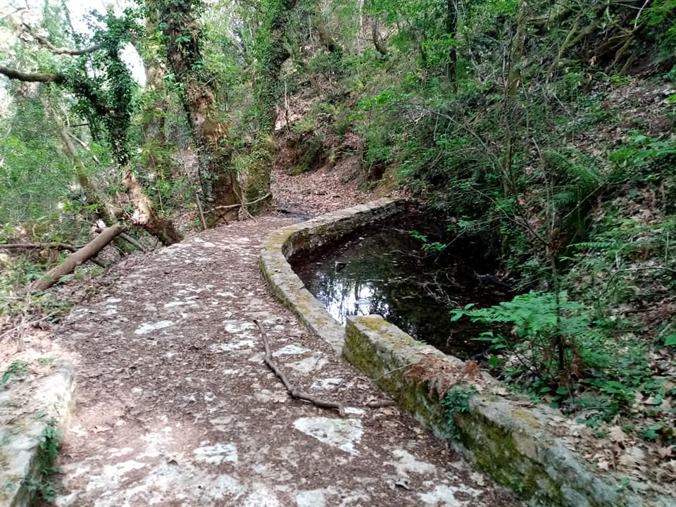 ΚΟΣΜΑΣ 2