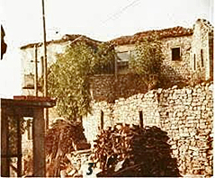 ΠΕΤΡΙΝΑ 3