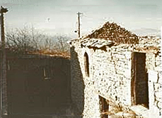 ΠΕΤΡΙΝΑ 6