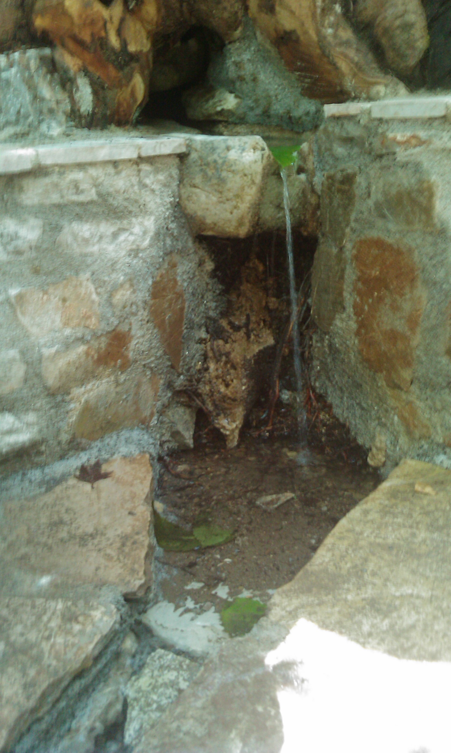 IMAG0214